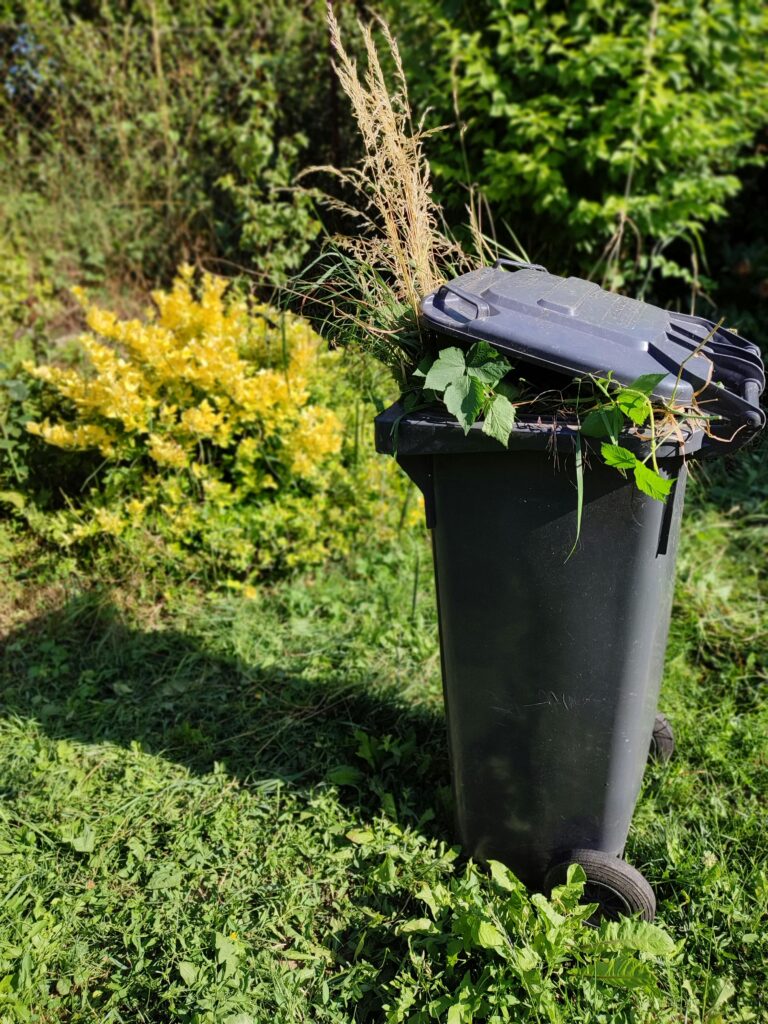 Compost bin overflowing with greens being composted in a backyard at home
