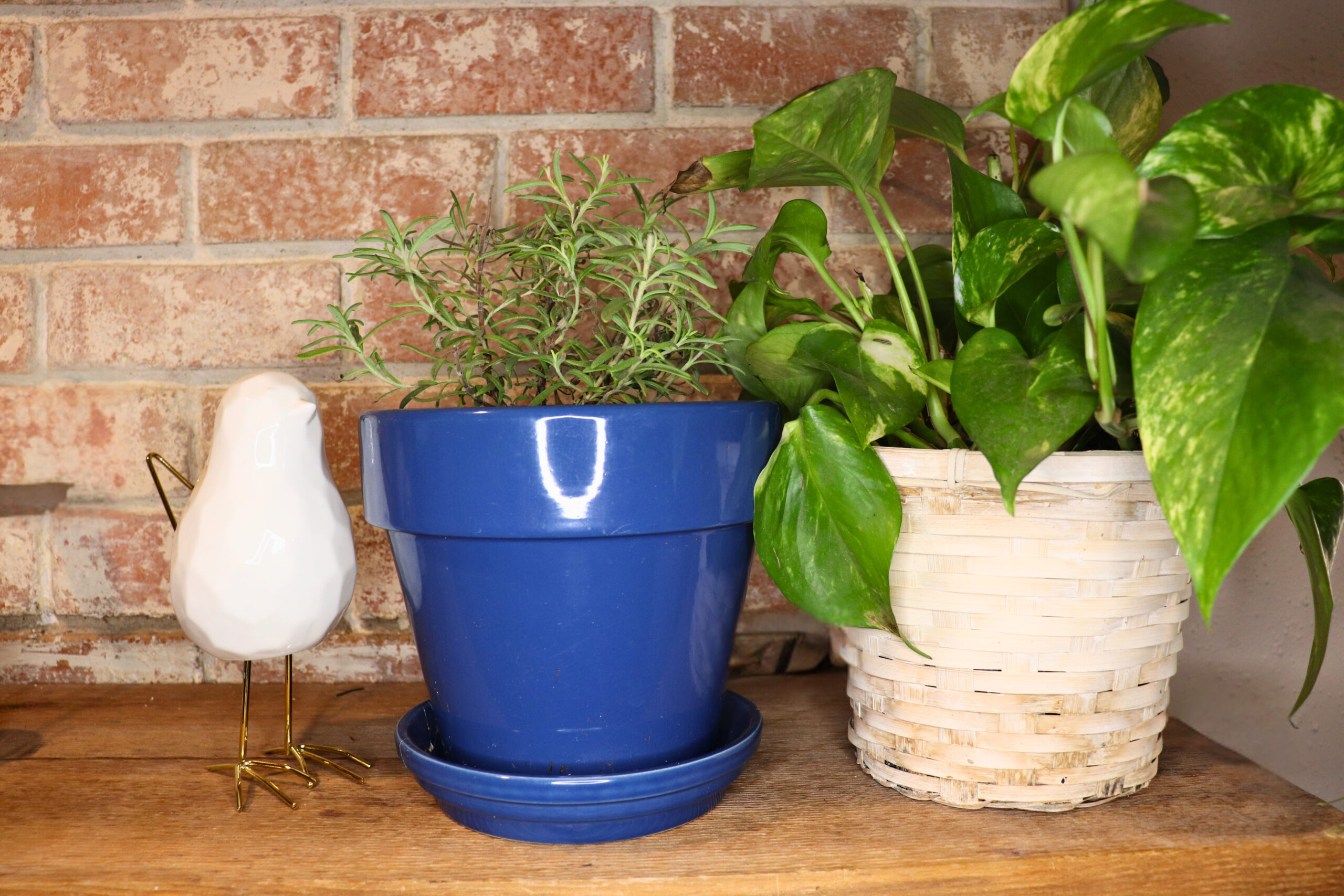 Two potted plants on a mantle by a ceramic bird ornament
