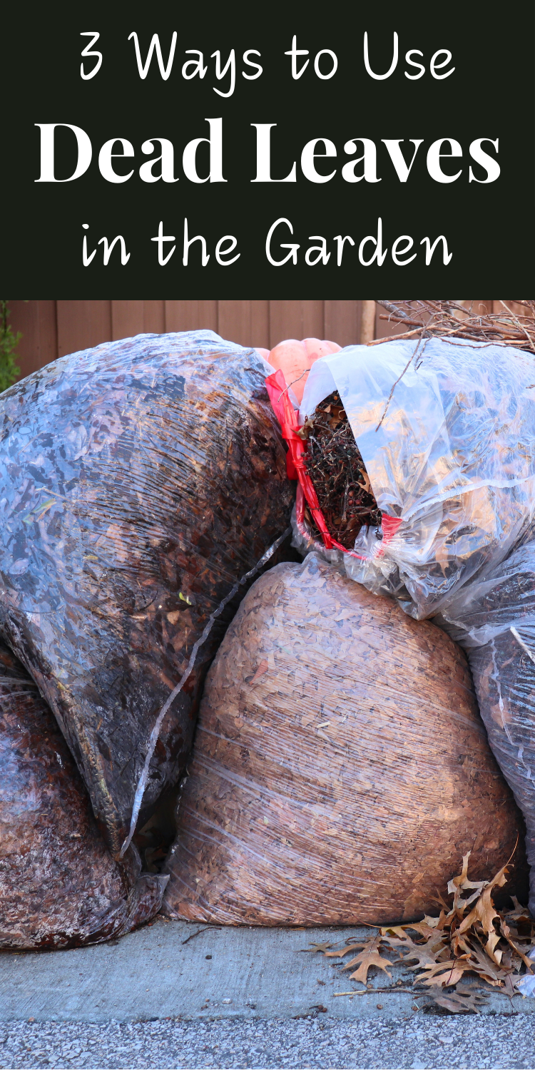 Piled bags of leaves with title