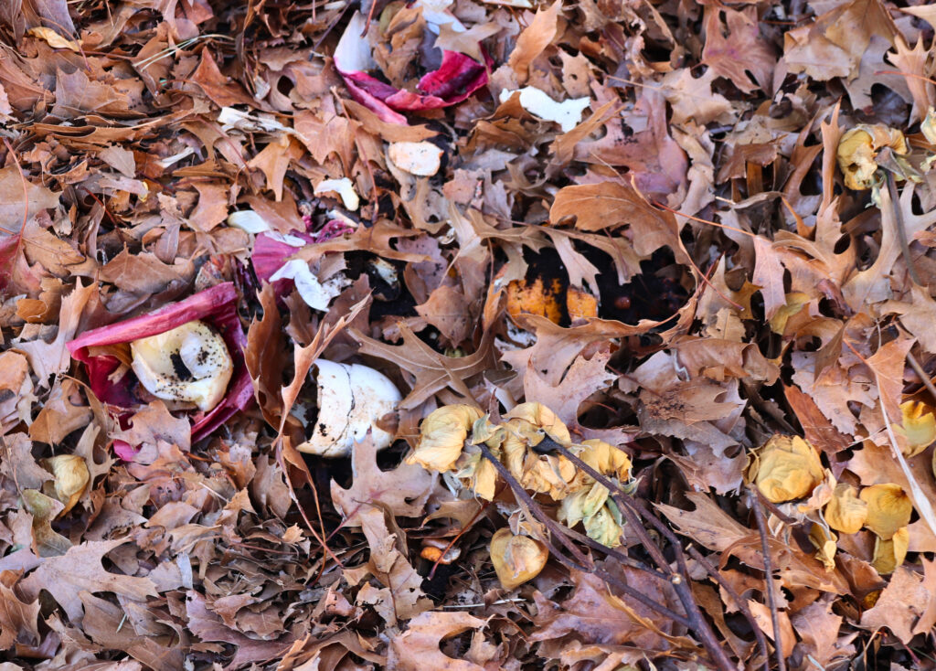 leaves in compost pile