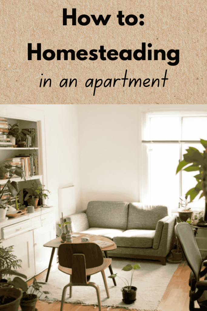 Photo of an apartment with many houseplants titled: How to: Homesteading in an apartment