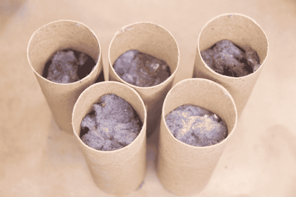 Toilet paper rolls filled halfway with dryer lint