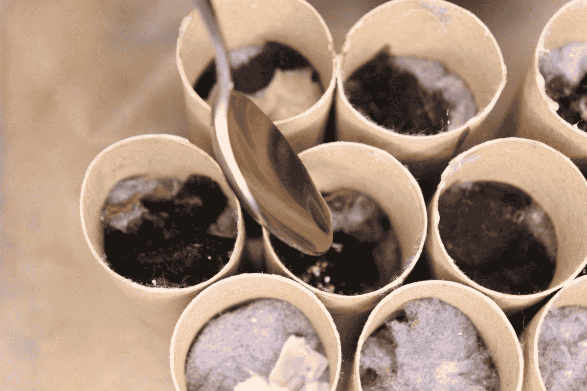 Pouring wax into a toilet paper roll full of lint