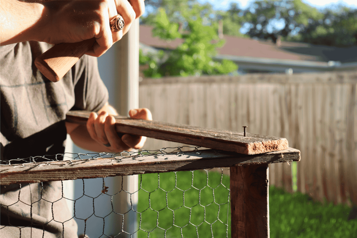 A Man nailing a post into another as he makes a trellis from wood and chickenwire