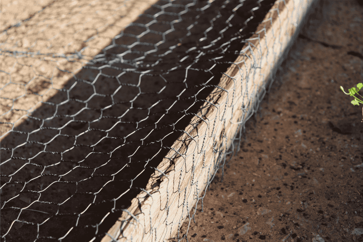 Chickenwire on a fencepost