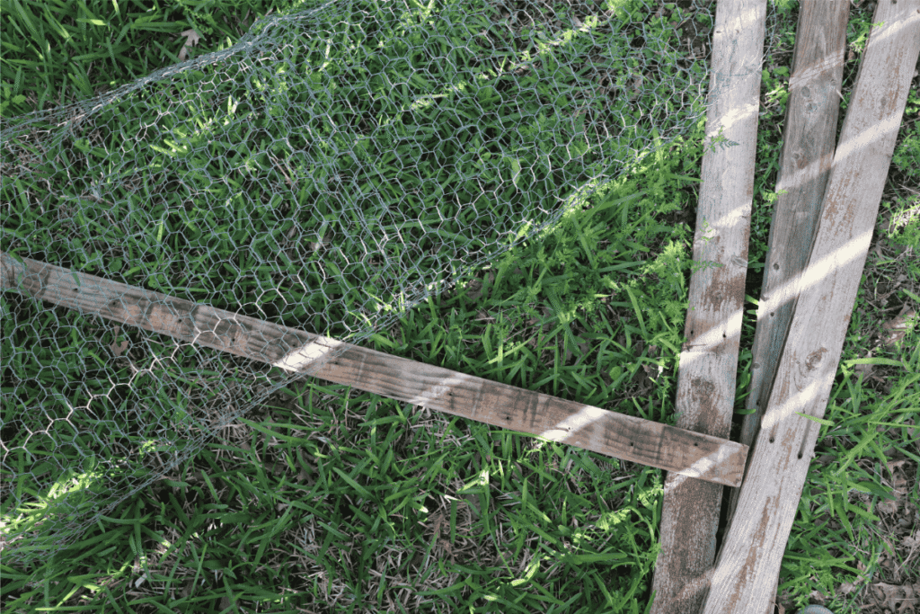 Chickenwire and repurposed fence posts on green grass