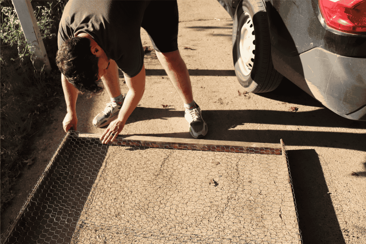Man placing a crossbar between two posts for a trellis he is building