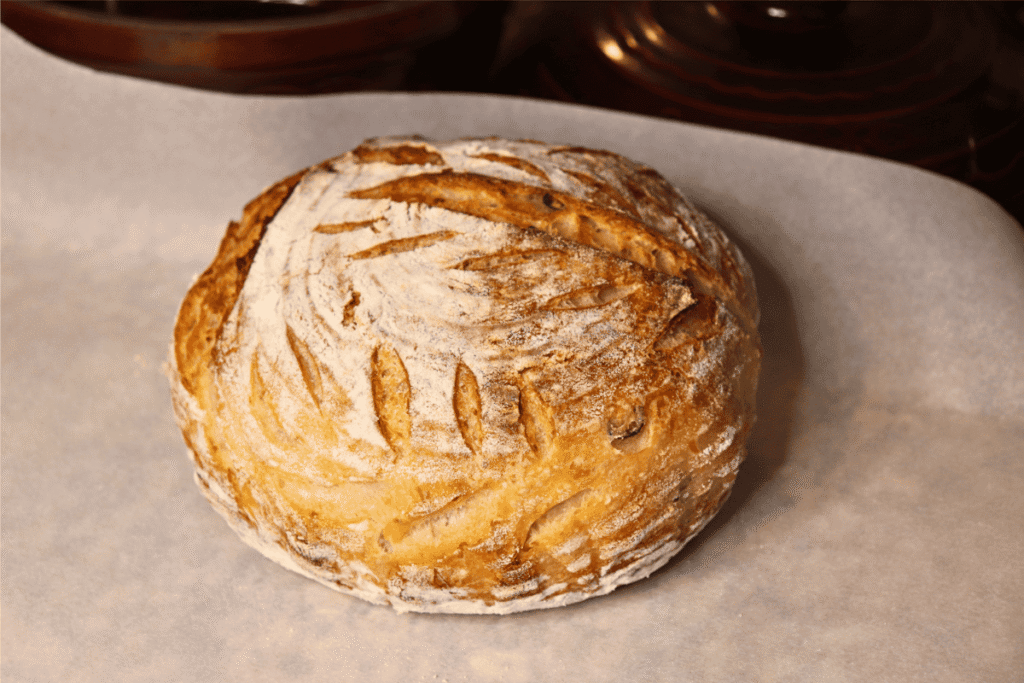 Jalapeño cheddar sourdough bread boule on parchment paper