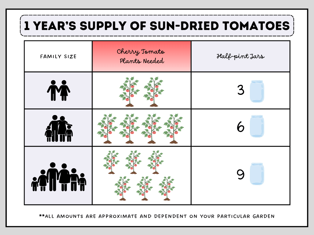 A chart showing how many cherry tomato plants to grow for a year's supply of sun-dried tomatoes based on family size.