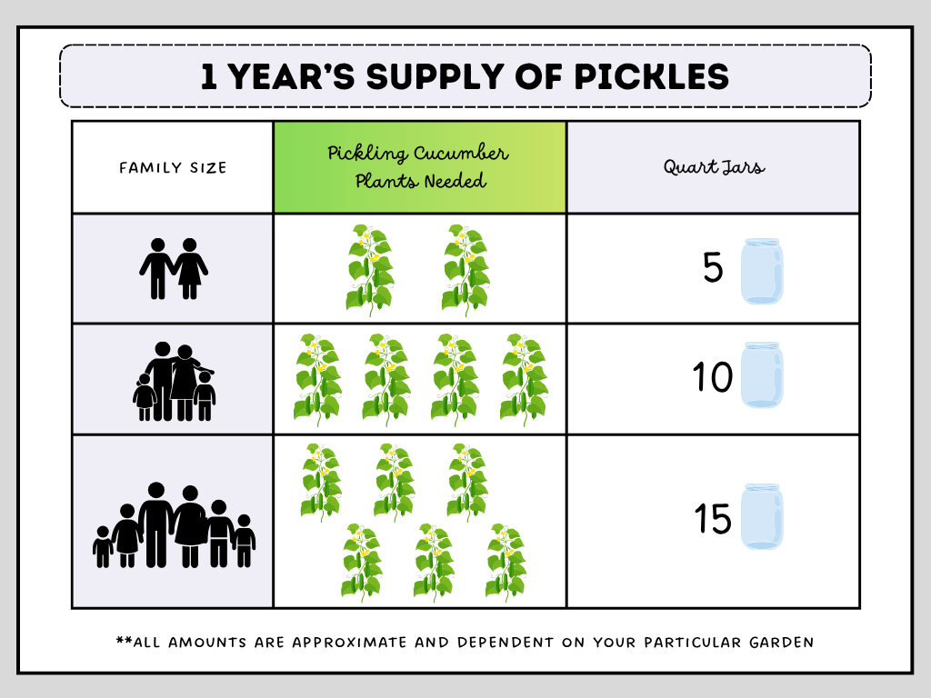 A chart showing how many cucumber plants to grow for a year's supply of pickles based on family size.
