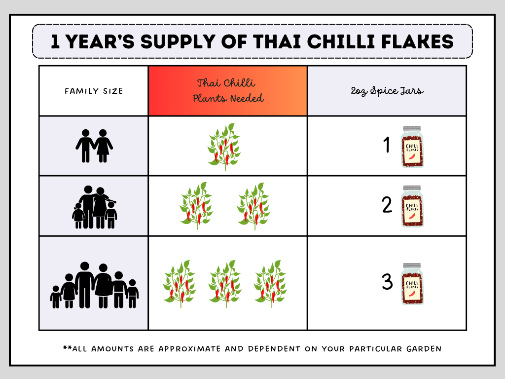A chart showing how many Thai Chili plants to grow for a year's supply of dried Thai Chili flakes based on family size.